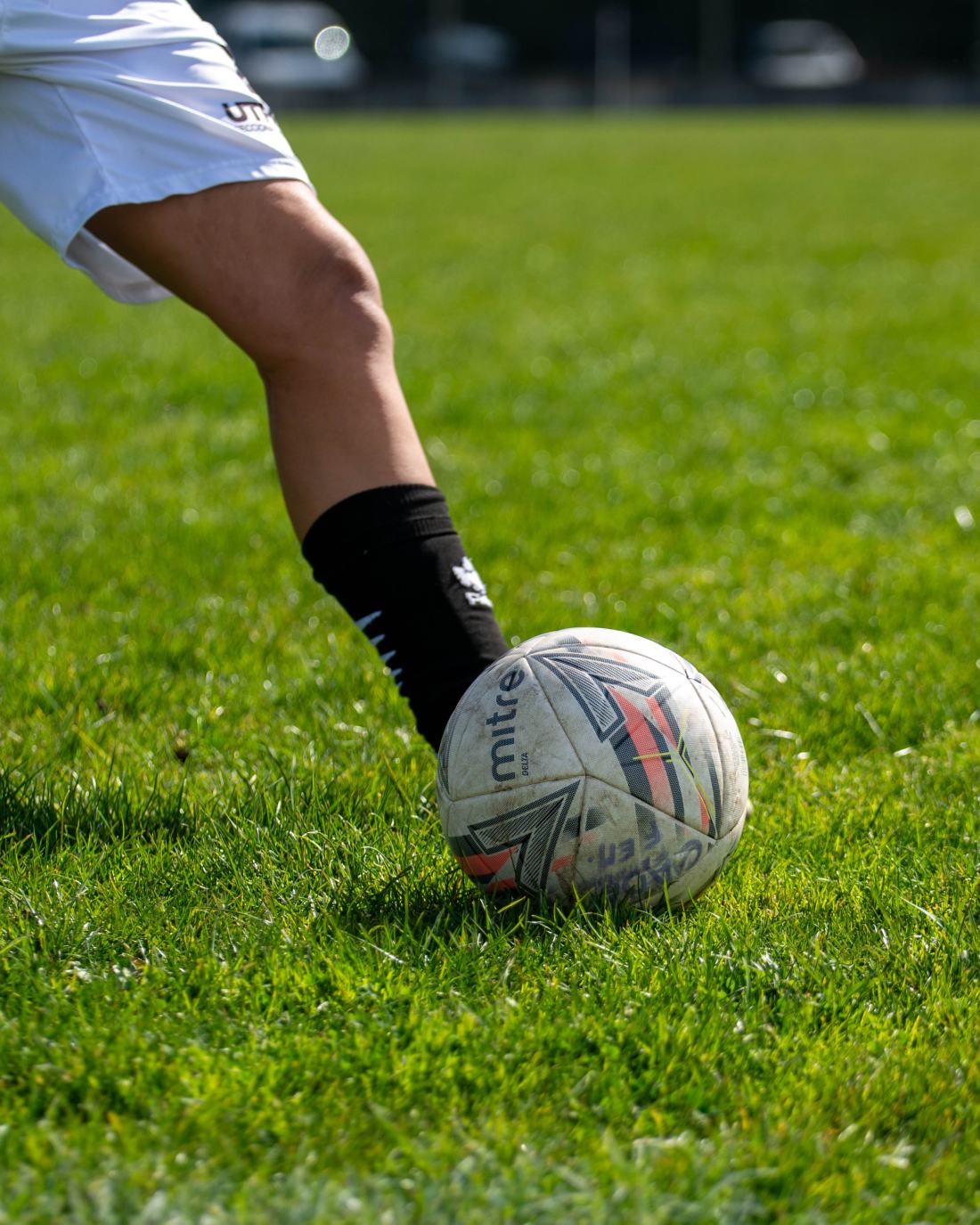 Torneo Inicio: Cadetes vs. San Lorenzo