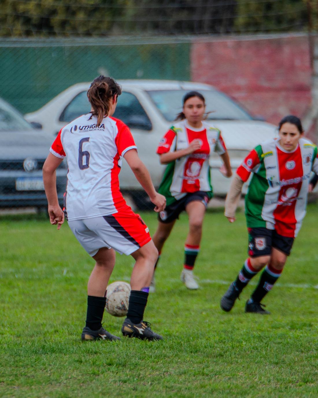 Torneo Coronación: San Lorenzo vs. Urquiza