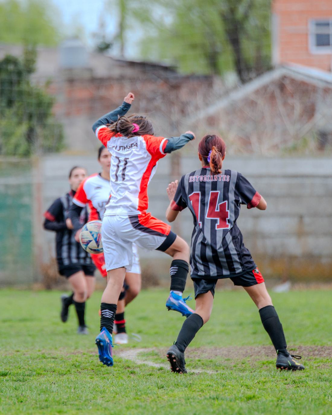 Torneo Coronación: Estudiantes vs. San Lorenzo