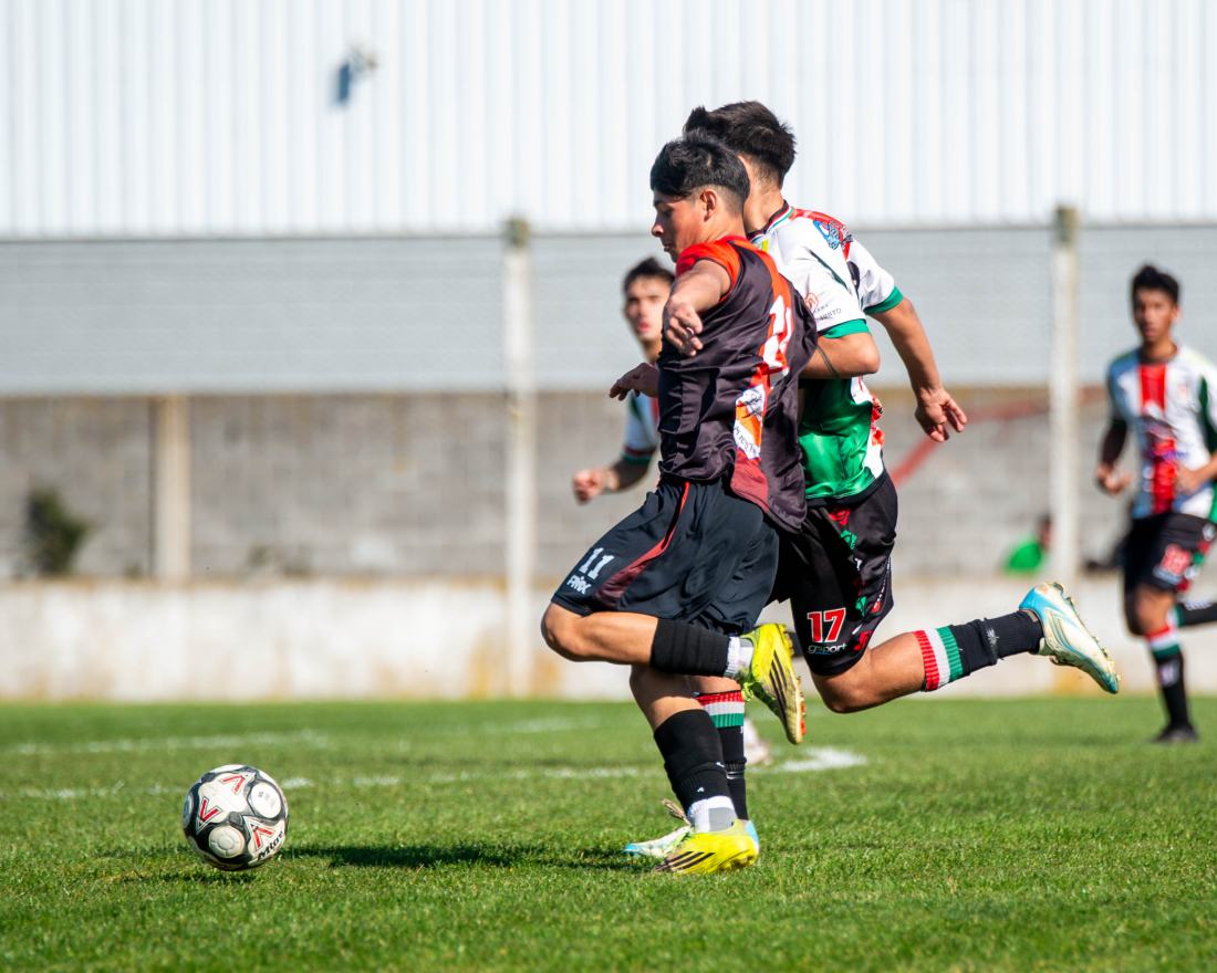 Torneo Clausura: San Lorenzo vs. Urquiza