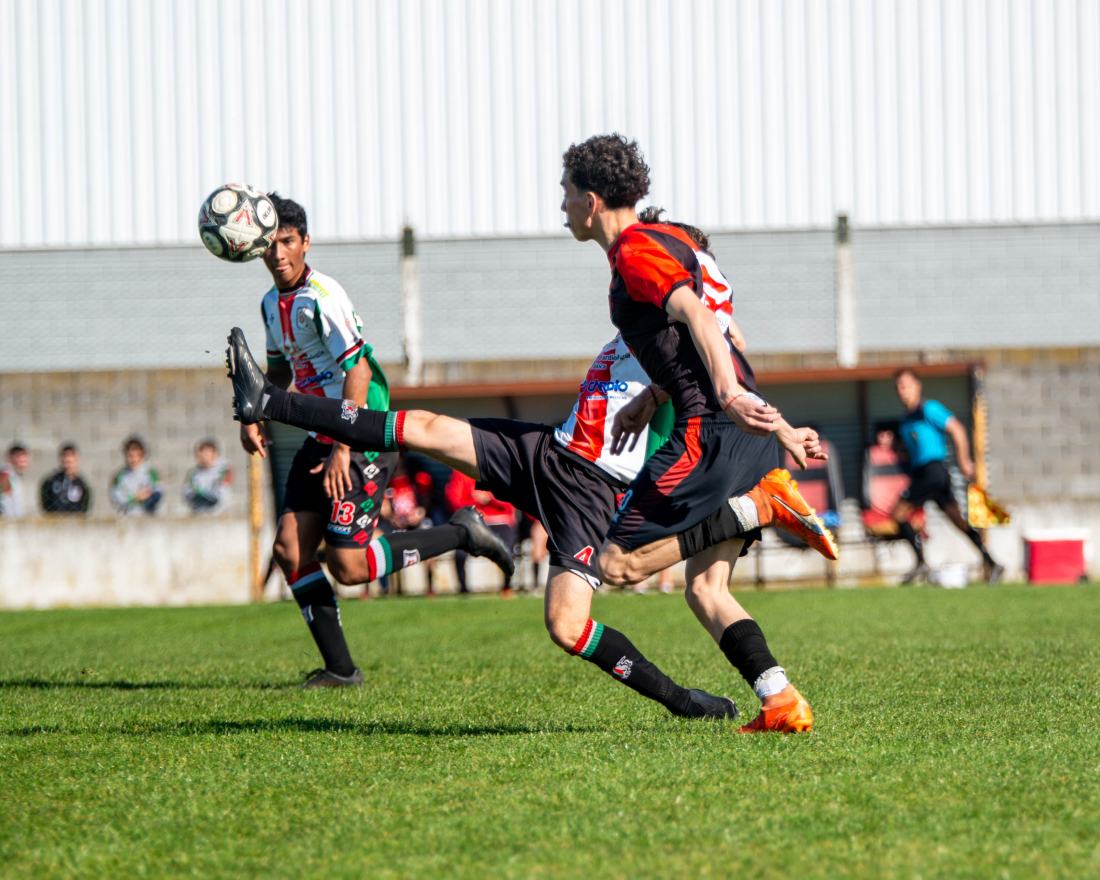 Torneo Clausura: San Lorenzo vs. Urquiza