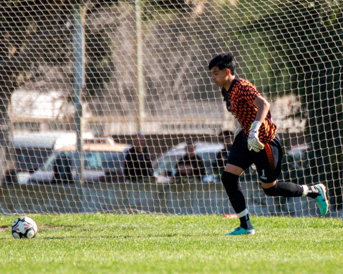 Torneo Clausura: San Lorenzo vs. Urquiza