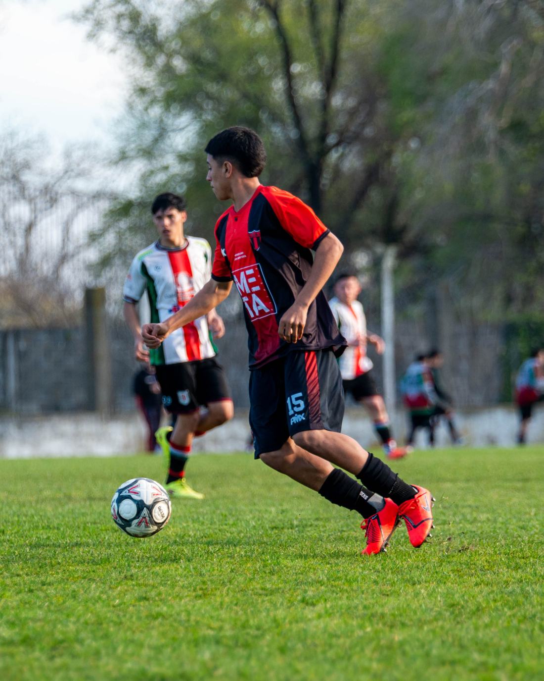 Torneo Clausura: San Lorenzo vs. Urquiza